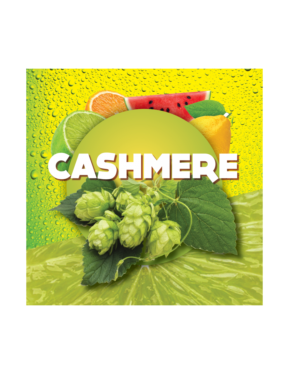 Cashmere (US) 2021 1 Cashmere (US) 2021