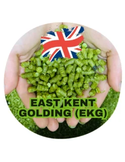 East Kent Golding (EKG) (UK)