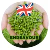 Endeavour (UK)