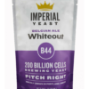 Levure Whiteout B44 - Imperial Yeast