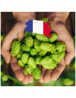 Magnum En Cône (FR) 2024 - 250 Gr