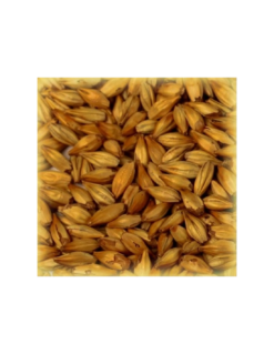 Malt Cara Arôme® 80-100 EBC