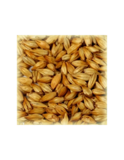 Malt Cara Clair® 8 EBC