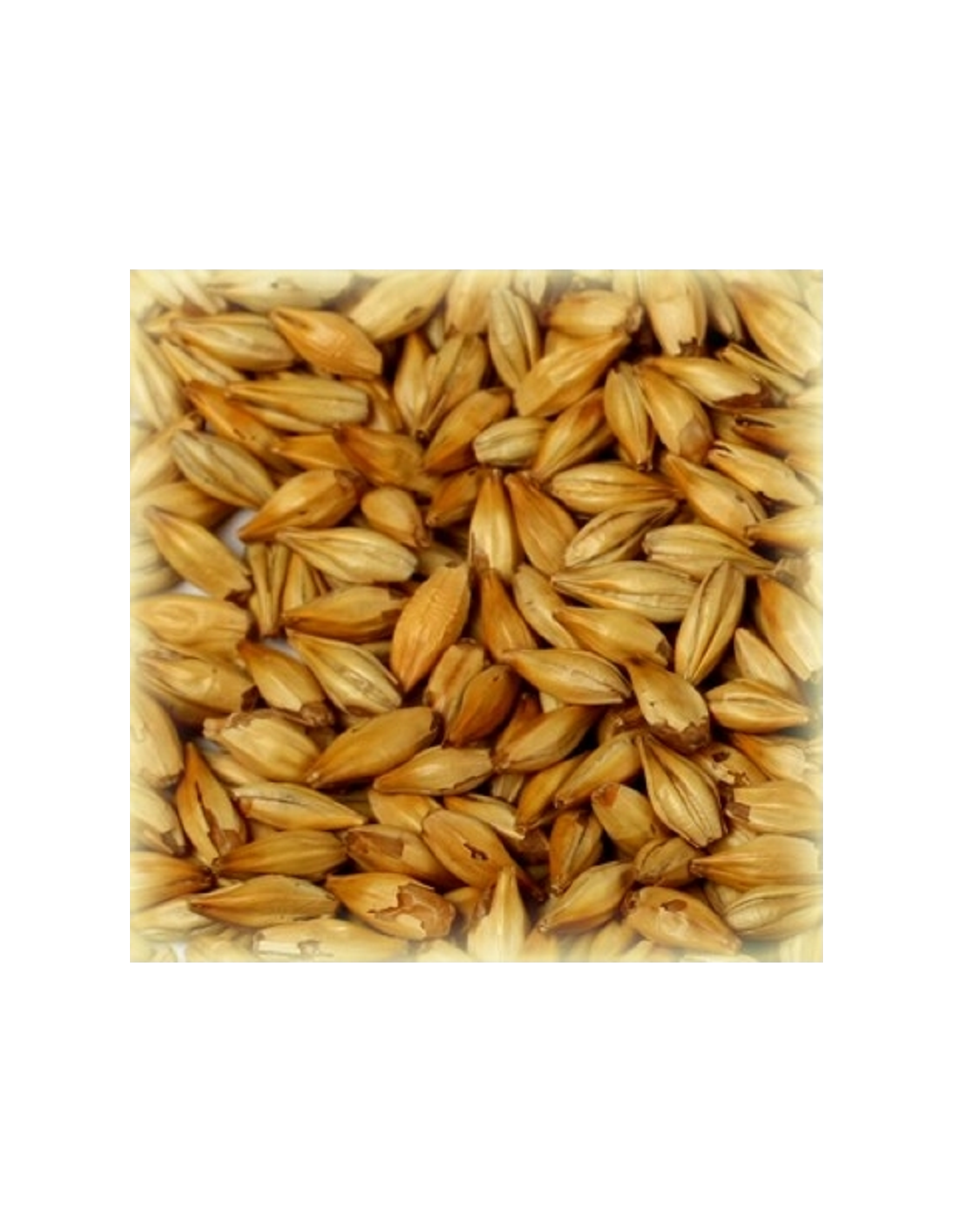 Malt Cara Clair® 8 EBC 1 Malt Cara Clair® 8 EBC