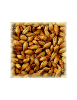 Malt Cara Ruby® 50 EBC