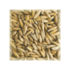Malt Avoine (Oat) 2-3 EBC