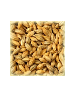 Malt Fumé (Smoked) 4–12 EBC