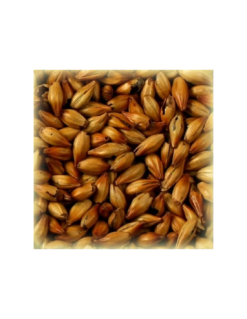 Malt Spécial B® 300 EBC