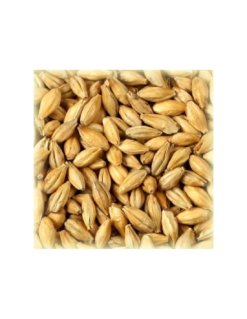 Malt Whisky 2.5-4.5 EBC