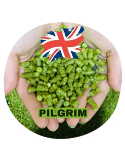 Pilgrim (UK)