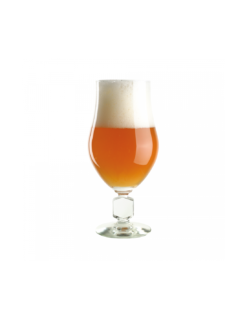 Recharge ABBAYE TRAPPISTE 5L -Magasin De Bière Autofinancé recharge abbaye trappiste 5l 2