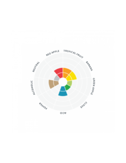 Wit™ LalBrew LALLEMAND - 11gr -Magasin De Bière Autofinancé wit lalbrew lallemand 11gr 2